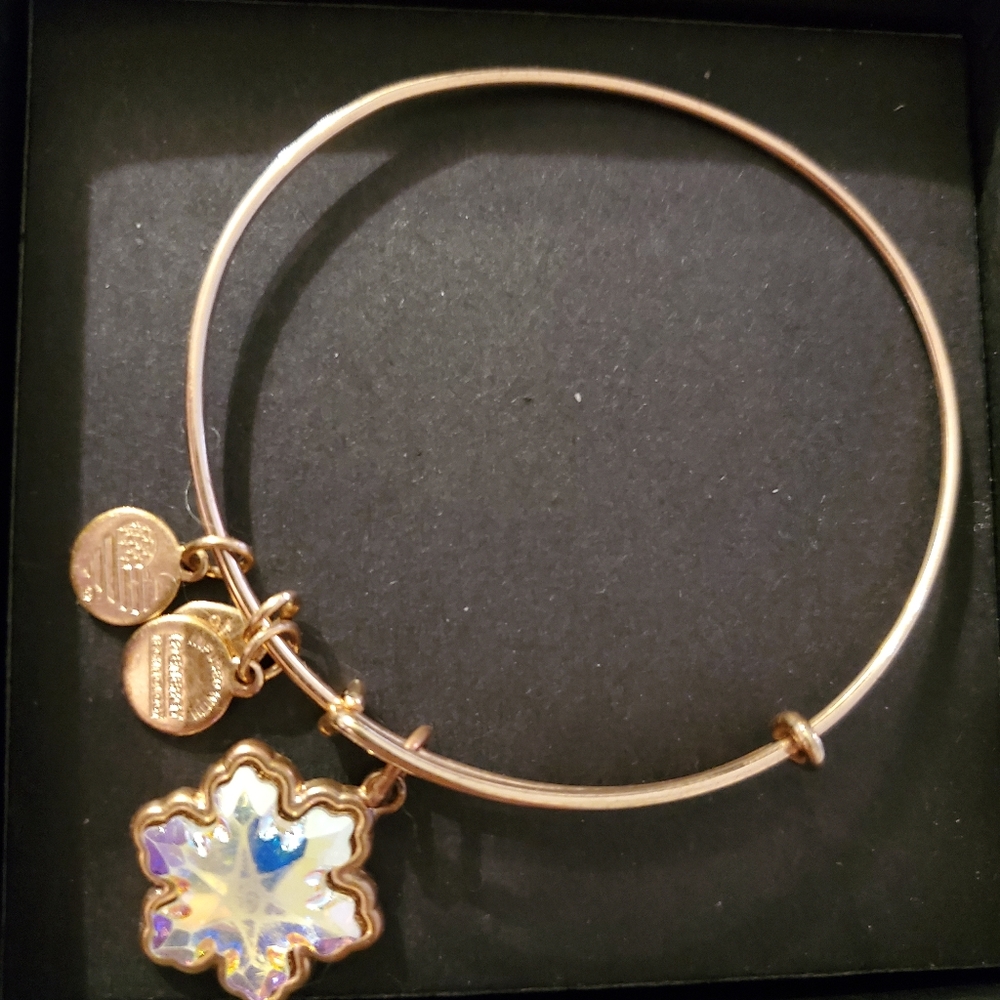 Alex and ani
